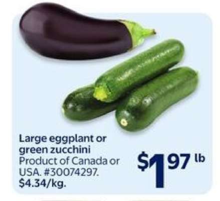 Large Eggplant or Green Zucchini