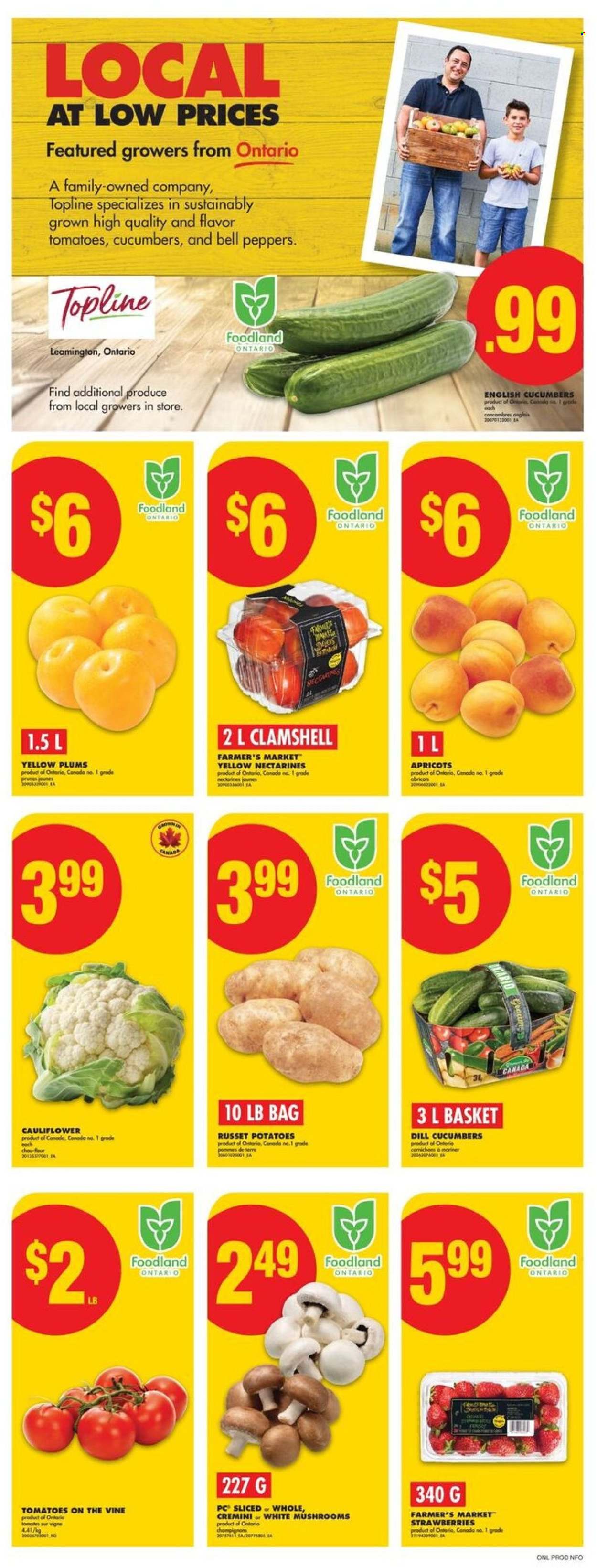 No Frills flyer - July 24, 2025 - July 30, 2025. Page 2