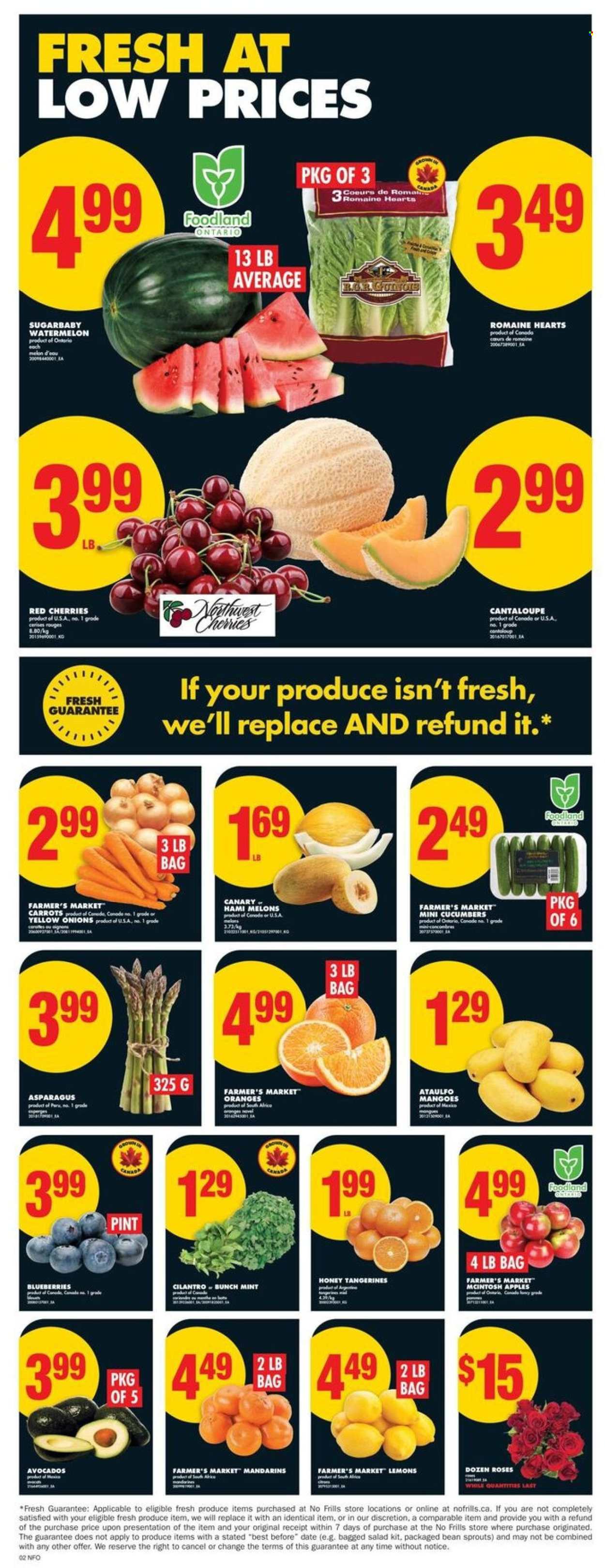 No Frills flyer - July 24, 2025 - July 30, 2025. Page 3