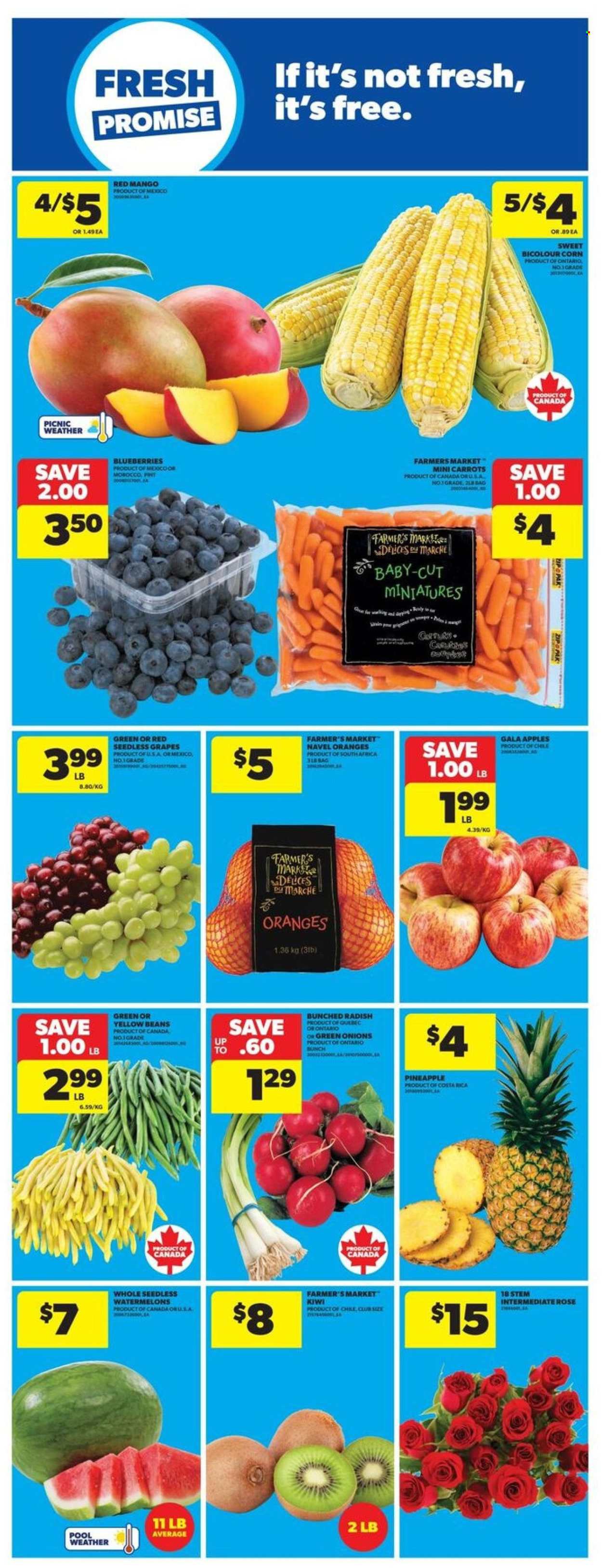Real Canadian Superstore flyer - July 24, 2025 - July 30, 2025. Page 9