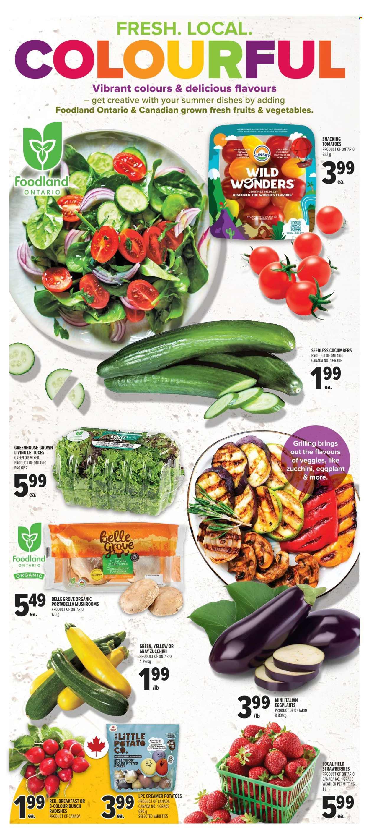 Metro flyer - July 24, 2025 - July 30, 2025. Page 4