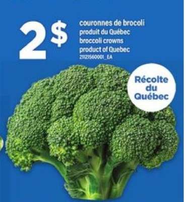 COURONNES DE BROCOLI