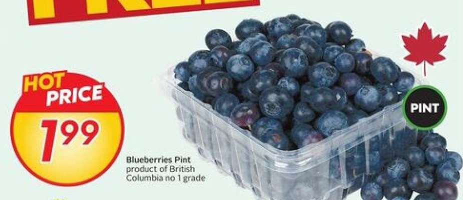 BLUEBERRIES, PINT