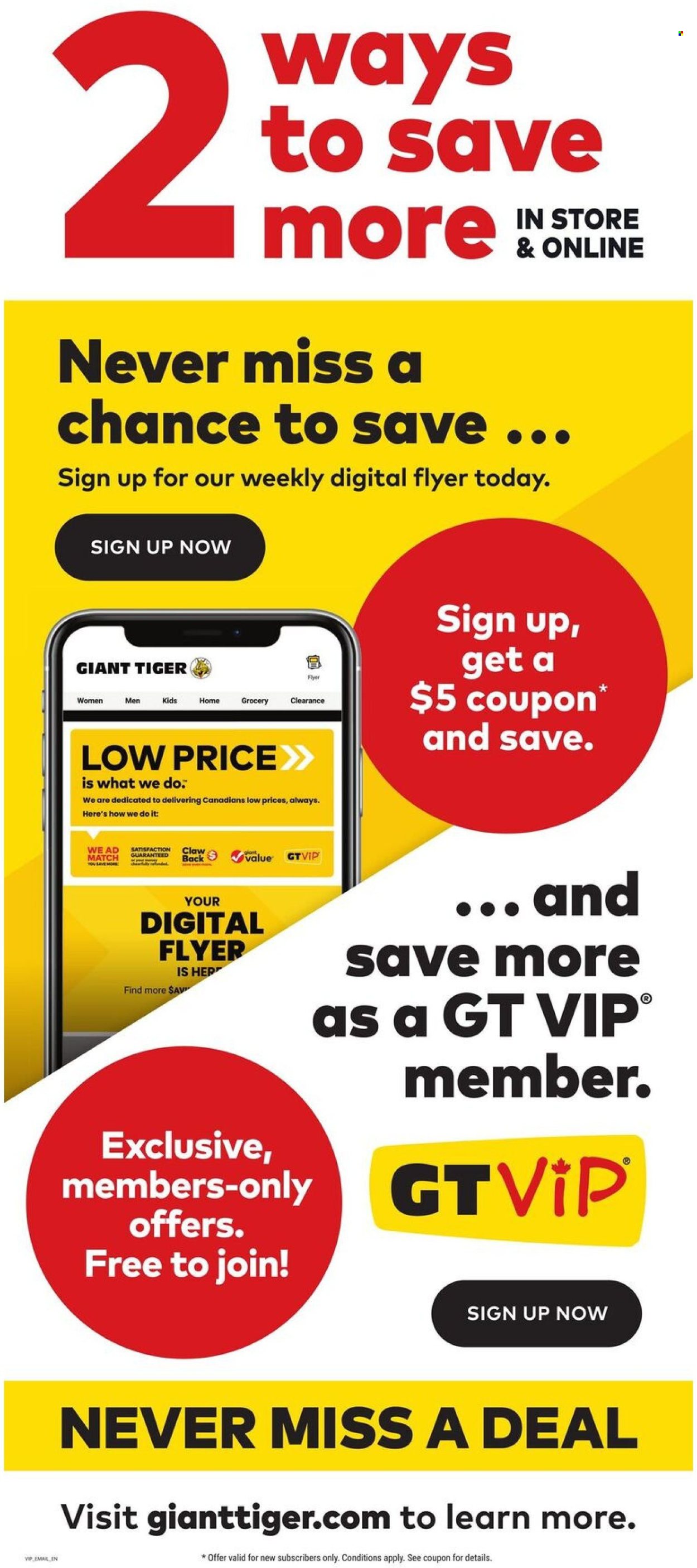 Giant Tiger flyer - July 30, 2025 - August 05, 2025. Page 14