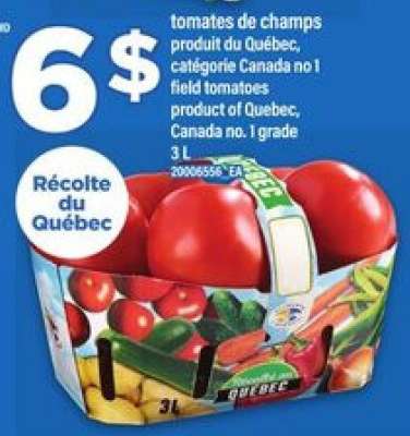 tomates de champs