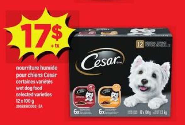 Cesar Wet Dog Food