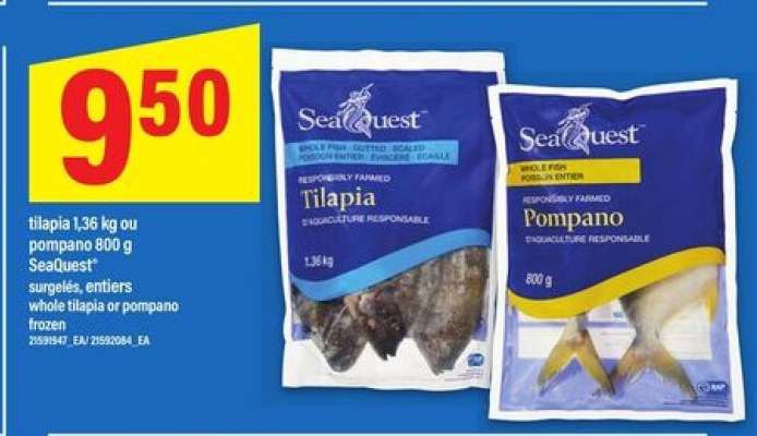 SeaQuest Tilapia ou Pompano