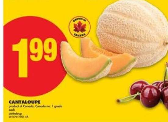 CANTALOUPE
