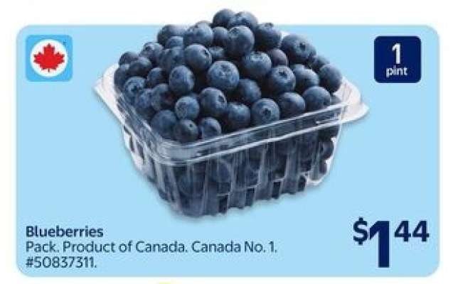 Blueberries