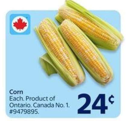 Corn