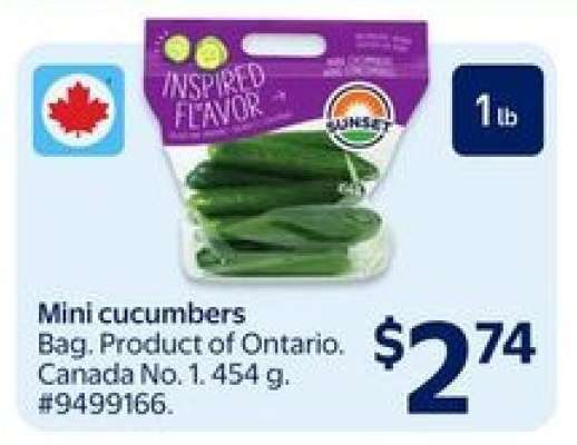 MINI CUCUMBERS