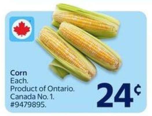 Corn