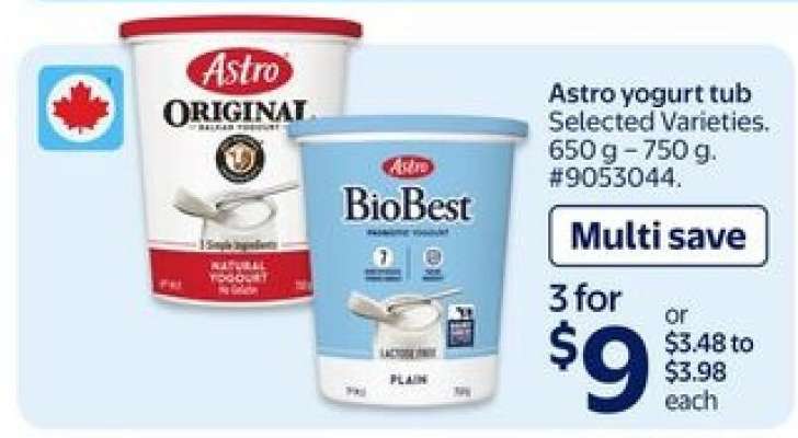 Astro Yogurt Tub