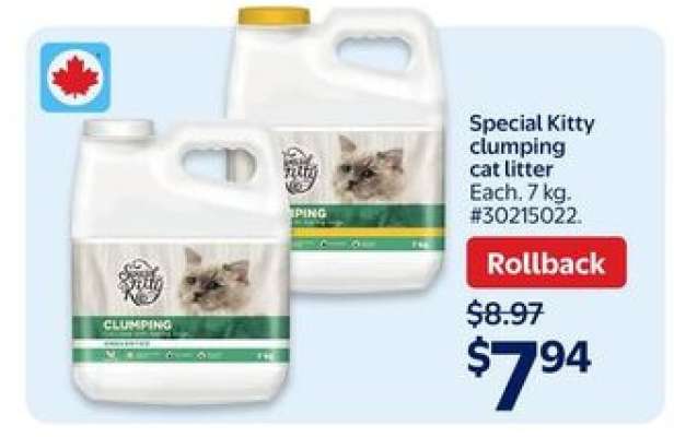 Special Kitty Clumping Cat Litter