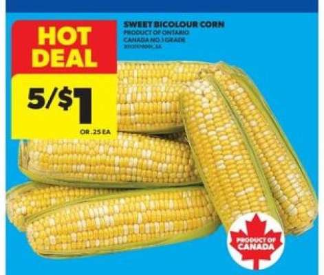 Sweet bicolour corn