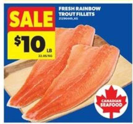 FRESH RAINBOW TROUT FILLETS