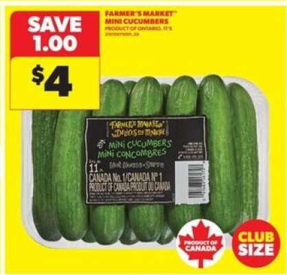 FARMER'S MARKET MINI CUCUMBERS
