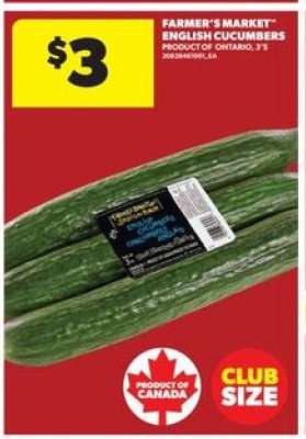 Farmer's Market English Cucumbers