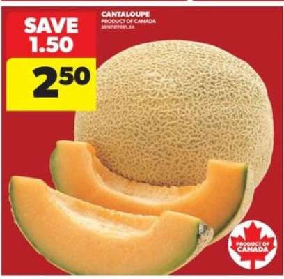 CANTALOUPE