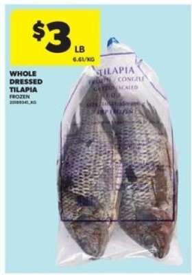WHOLE DRESSED TILAPIA
