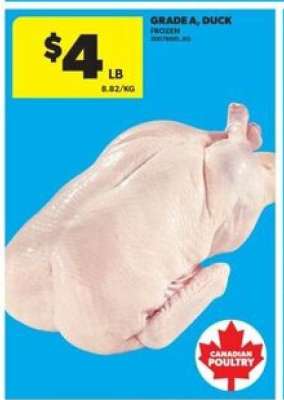 GRADE A DUCK