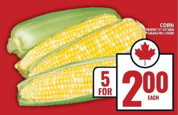 Corn