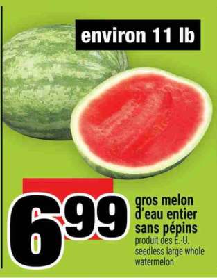 Gros melon d'eau entier sans pépins