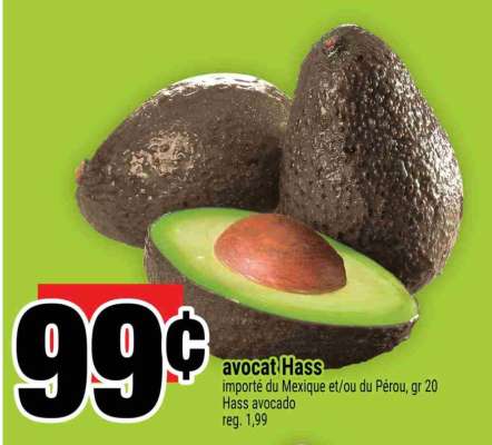 AVOCAT HASS