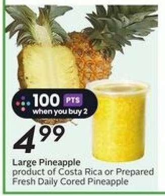 Large Pineapple