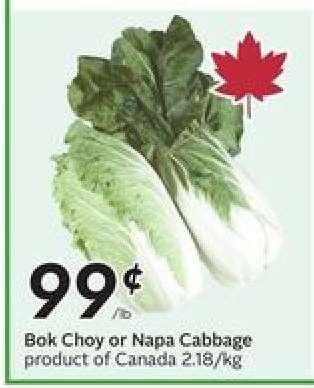 Bok Choy or Napa Cabbage
