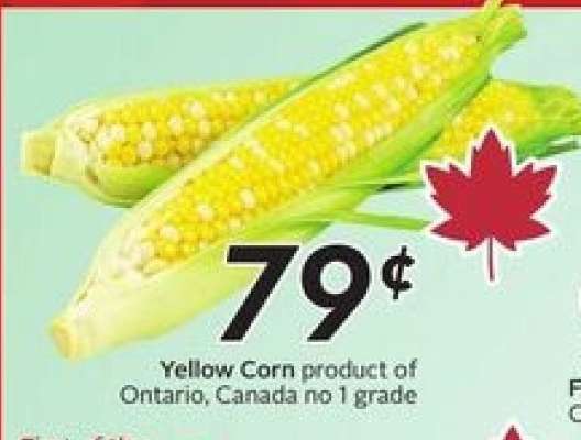 Yellow Corn