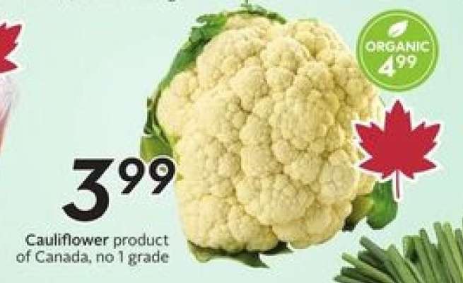CAULIFLOWER