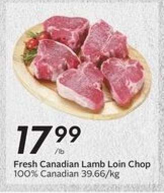 Fresh Canadian Lamb Loin Chop