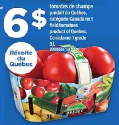 tomates de champs