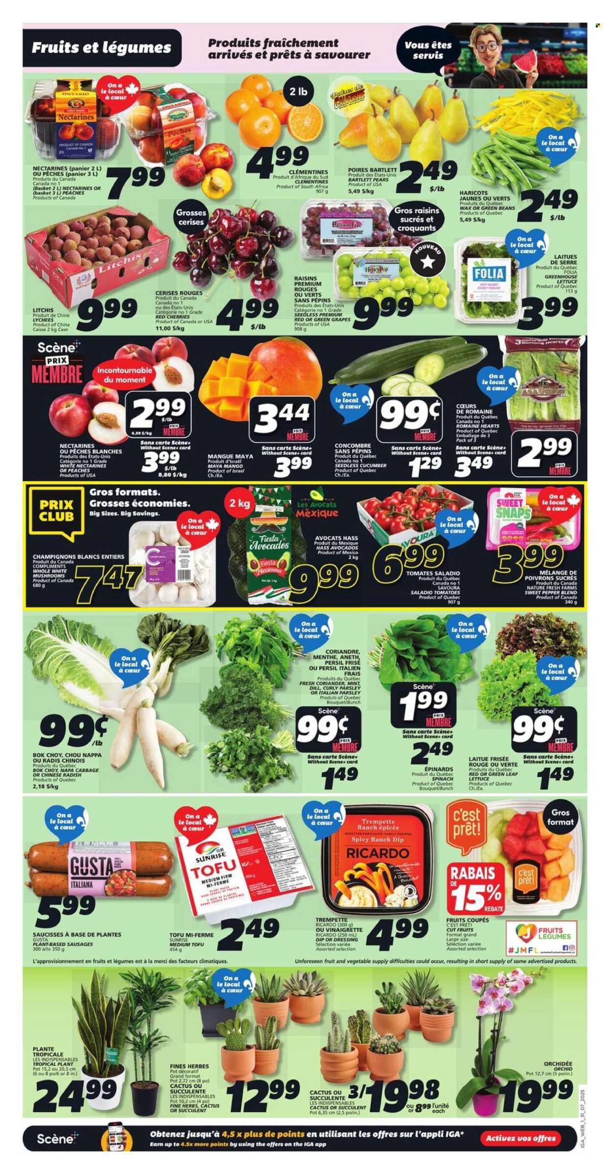 IGA flyer - July 31, 2025 - August 06, 2025. Page 3