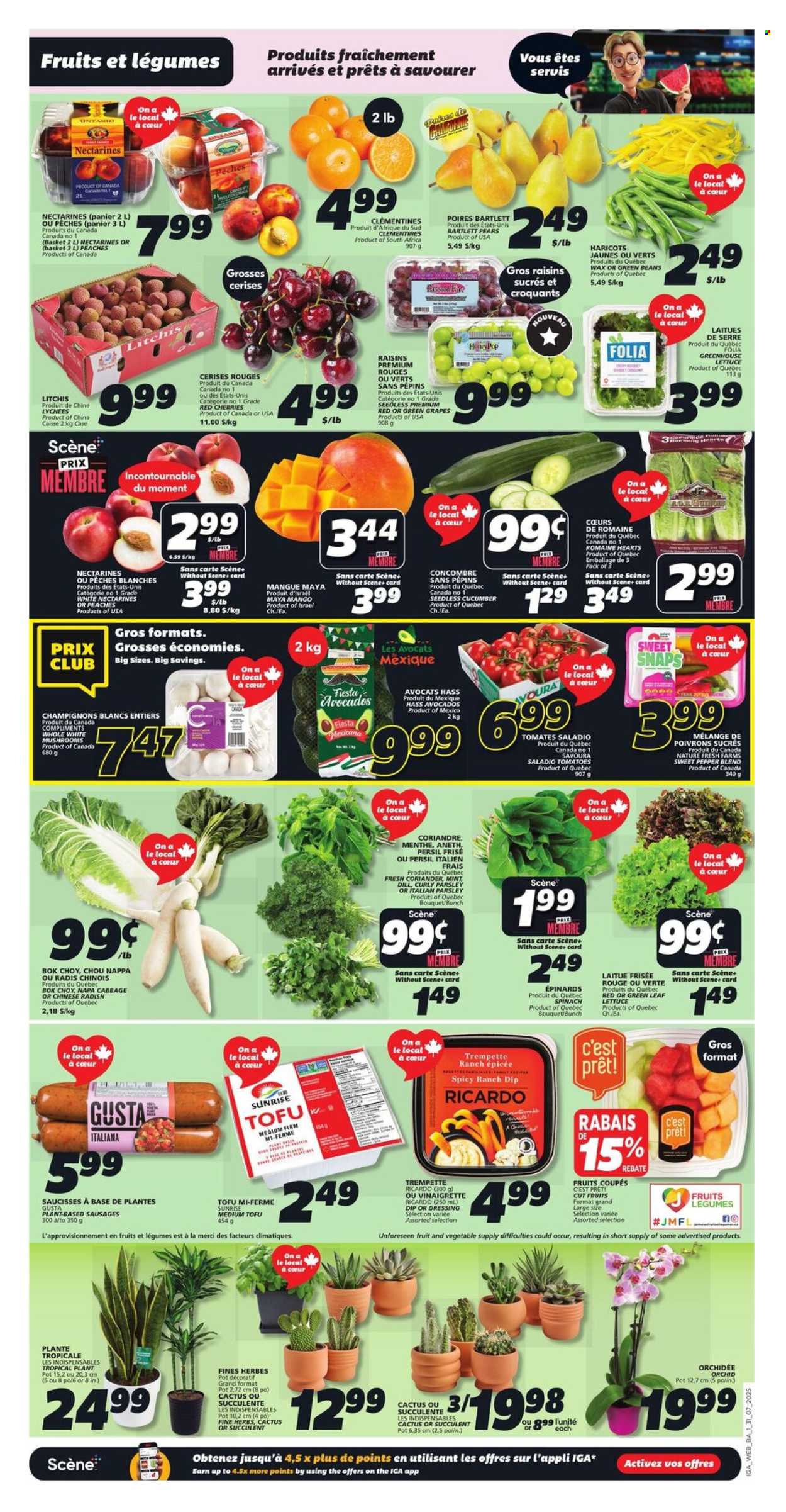 IGA flyer - July 31, 2025 - August 06, 2025. Page 3