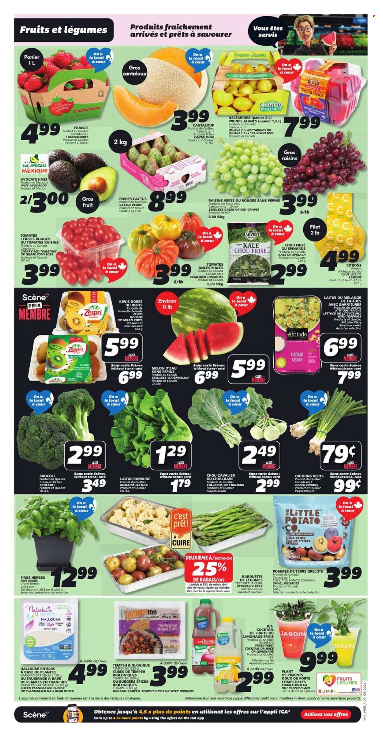 IGA flyer - August 07, 2025 - August 13, 2025. Page 3