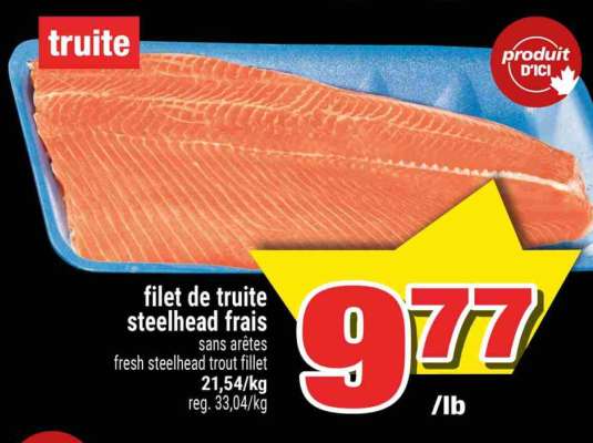 FILET DE TRUITE STEELHEAD FRAIS