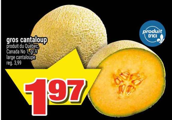Gros Cantaloup