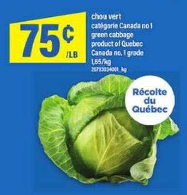 CHOU VERT