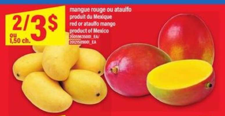 MANGUE ROUGE OU ATAULFO