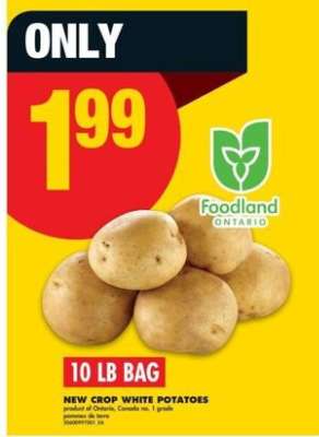 10 LB BAG NEW CROP WHITE POTATOES