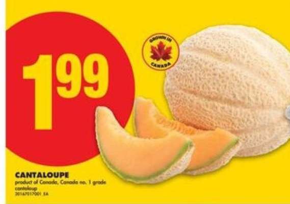 CANTALOUPE