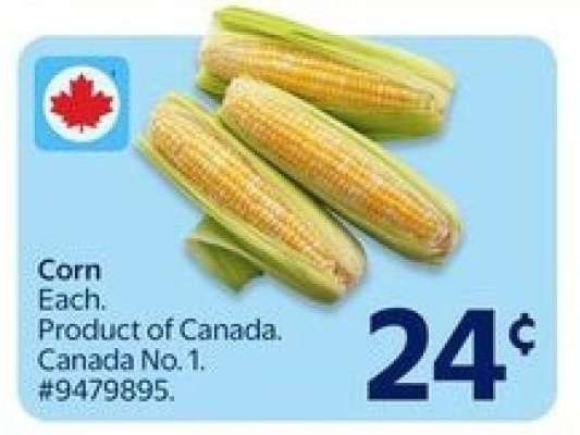 Corn