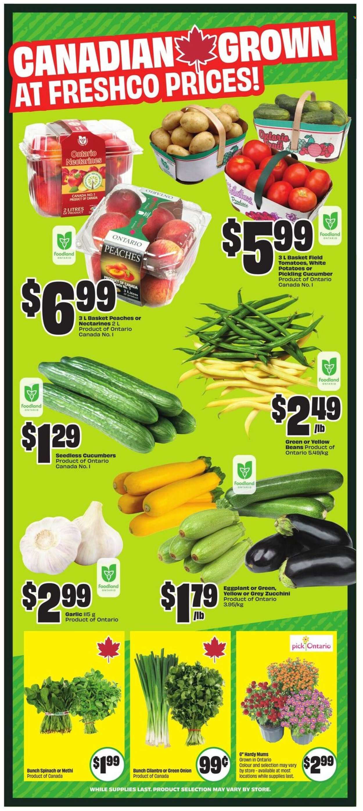Chalo! FreshCo. flyer - August 07, 2025 - August 13, 2025. Page 6