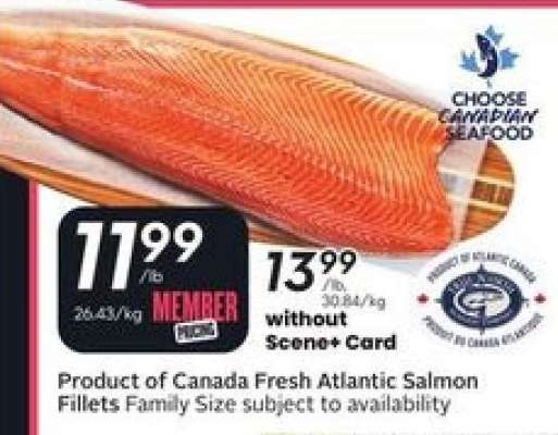 Fresh Atlantic Salmon Fillets