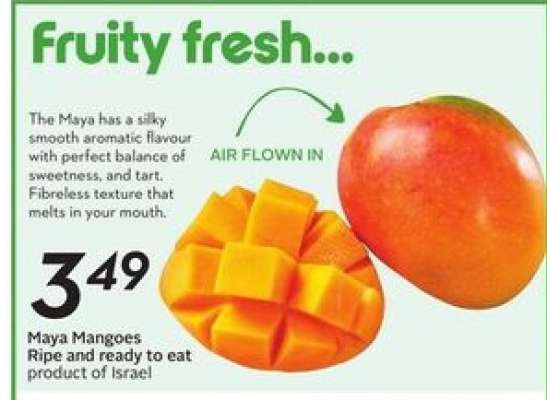 Maya Mangoes