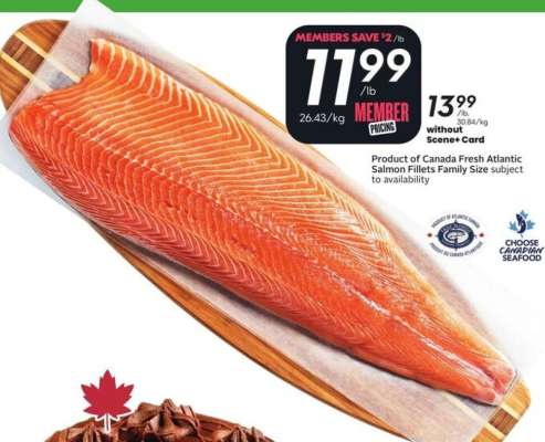 Fresh Atlantic Salmon Fillets