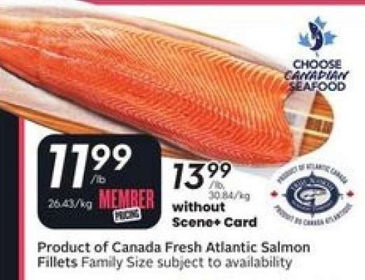 Product of Canada Fresh Atlantic Salmon Fillets