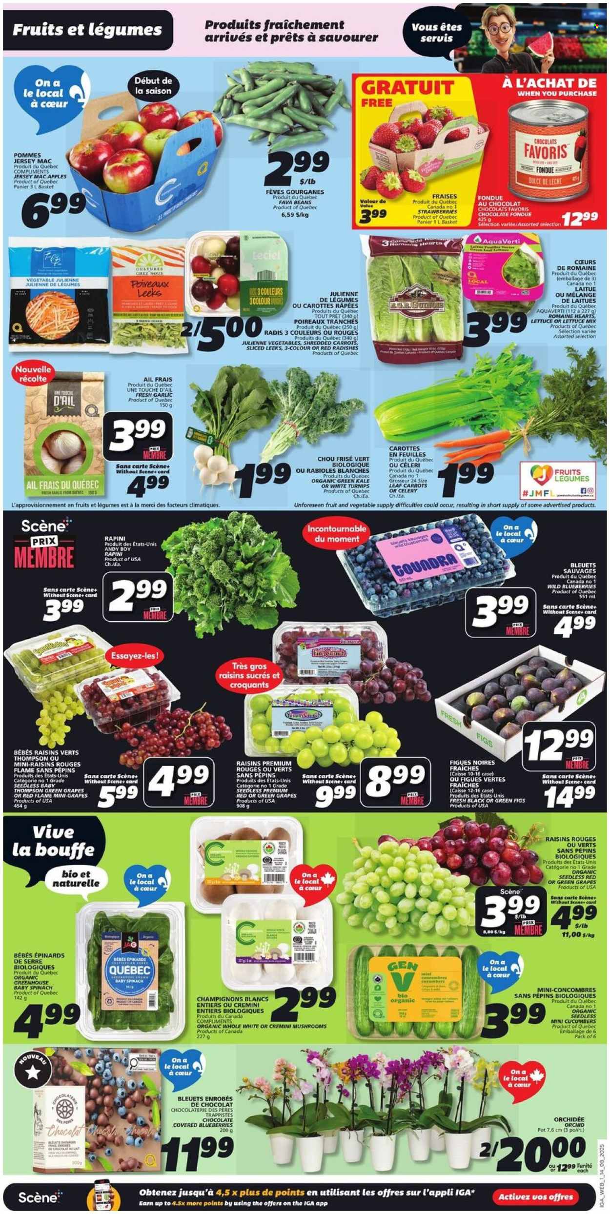 IGA flyer - August 14, 2025 - August 20, 2025. Page 3